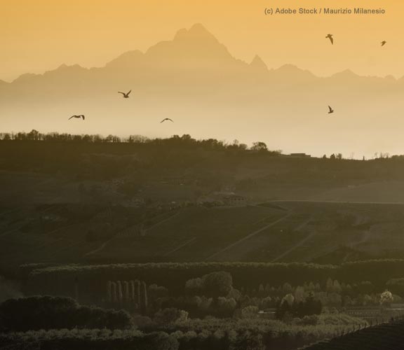 Cuneo-Landschaft-im-Abendlicht