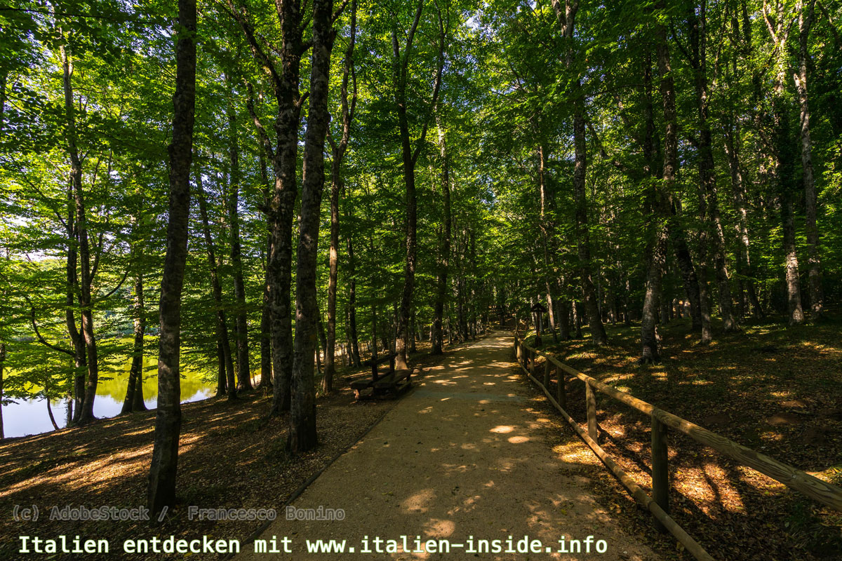 Foresta-Umbra-Gargano-Nationalpark Foresta-Umbra-Gargano-Nationalpark