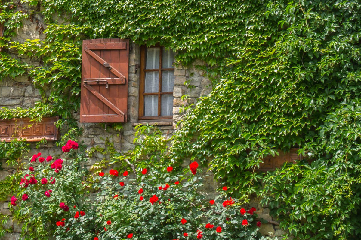 Zavattarello-Haus Zavattarello-Haus-mit-Pflanzen-ueberwachsen