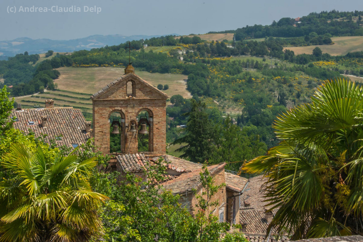 urbino-blick-ueber-daecher