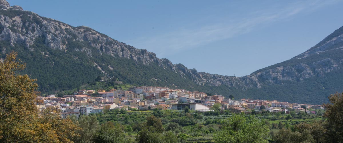 Dorgali Dorgali