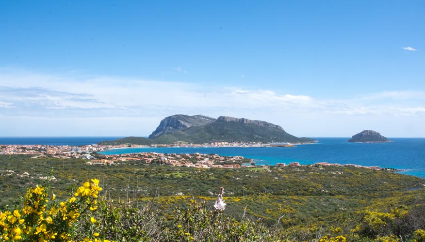 Golfo-Aranci Golfo-Aranci