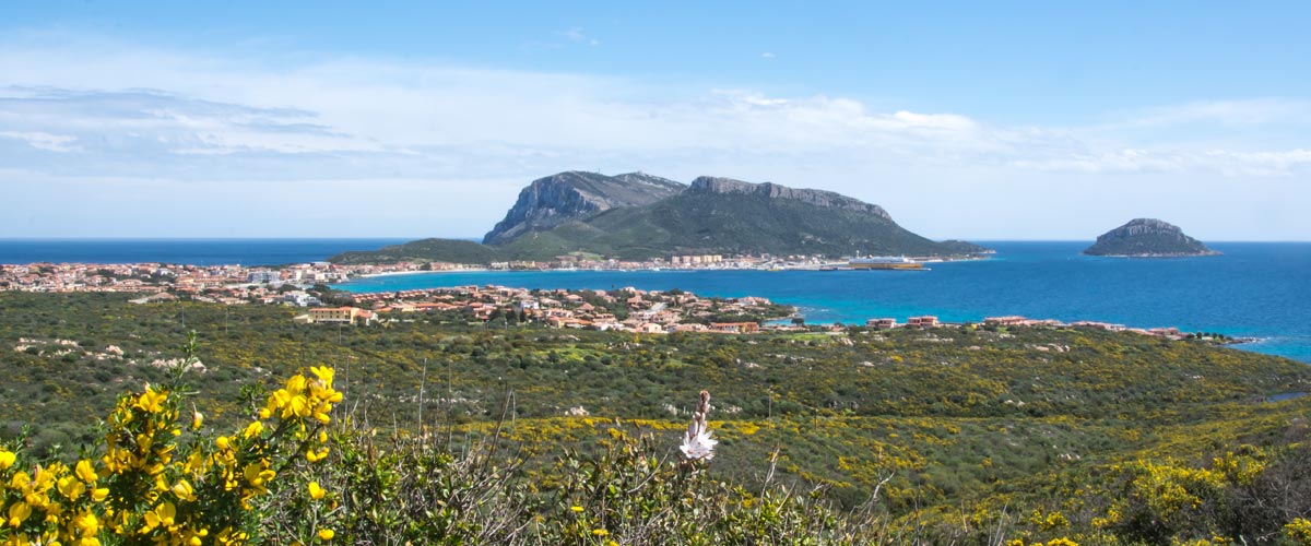 Golfo Aranci Golfo Aranci