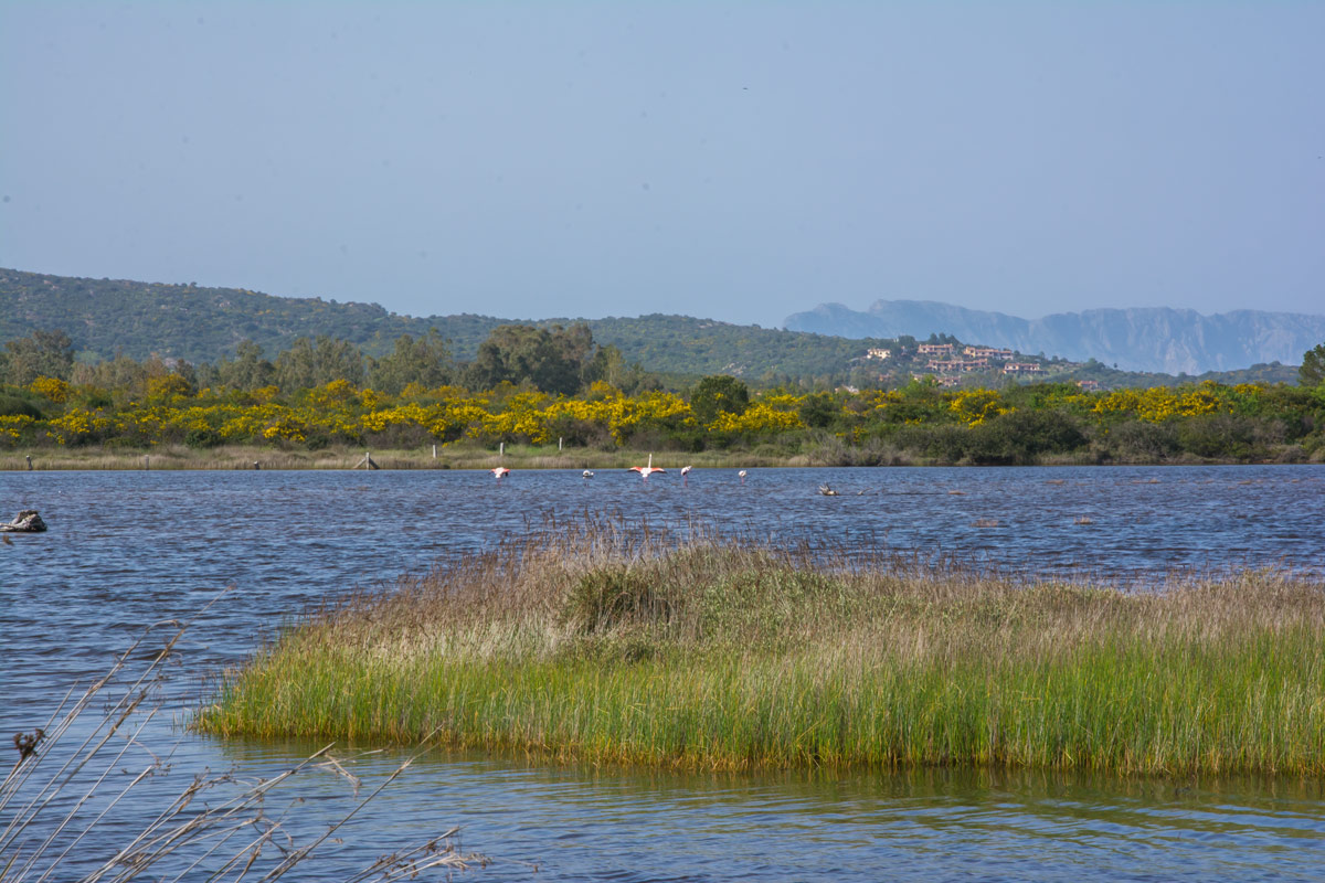 Baia-Budoni Baia-Budoni