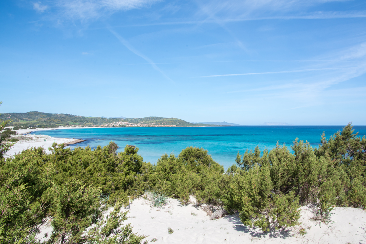 Capo-Comino Capo-Comino