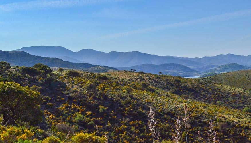 Gebirge-Sardinien