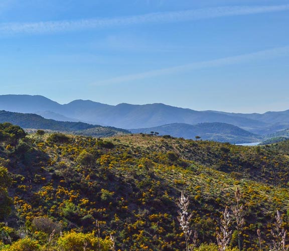 Gebirge-Sardinien