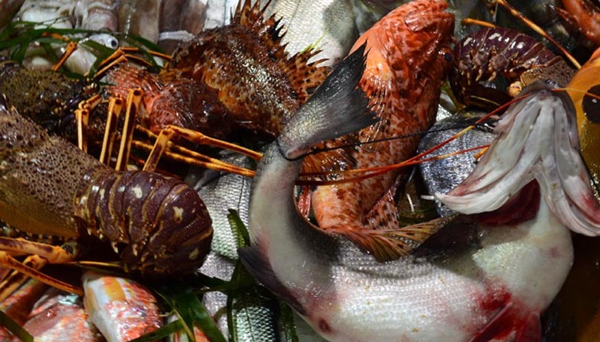 Fisch-Markt-Sardinien Fisch-Markt-Sardinien