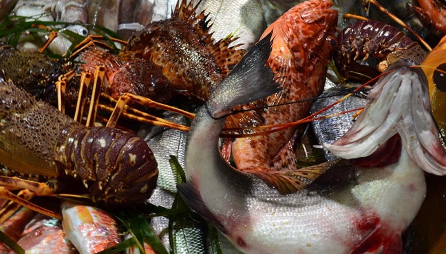 Fisch-Markt-Sardinien