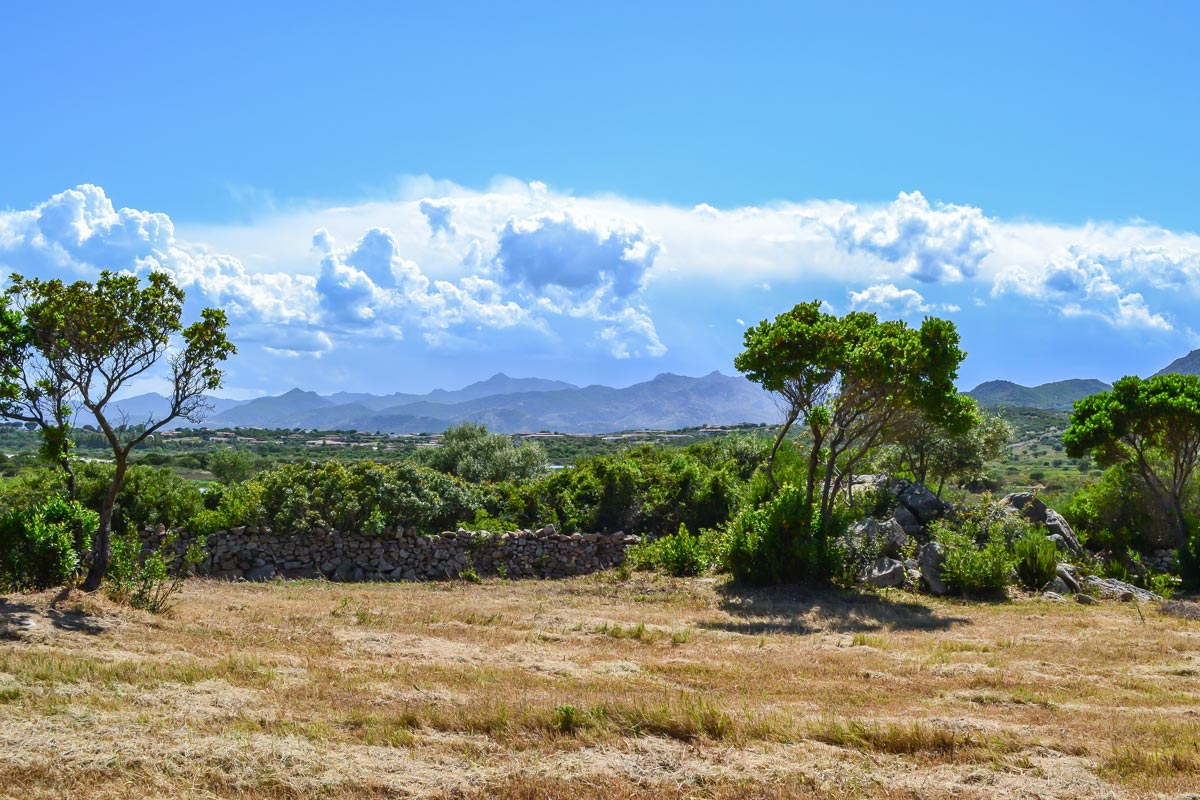 San-Teodoro-Natur