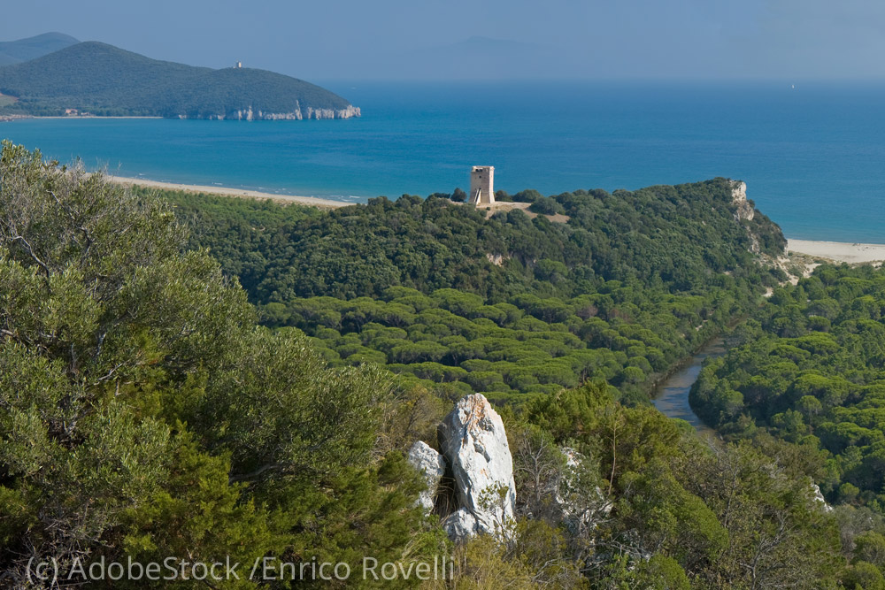 Naturpark-Maremma Grosseto-Küste-Naturpark-Maremma