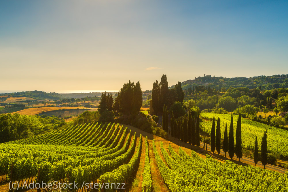 Maremma-Landschaft Maremma-Landschaft