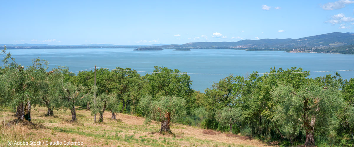 Magione-Ausblick-See