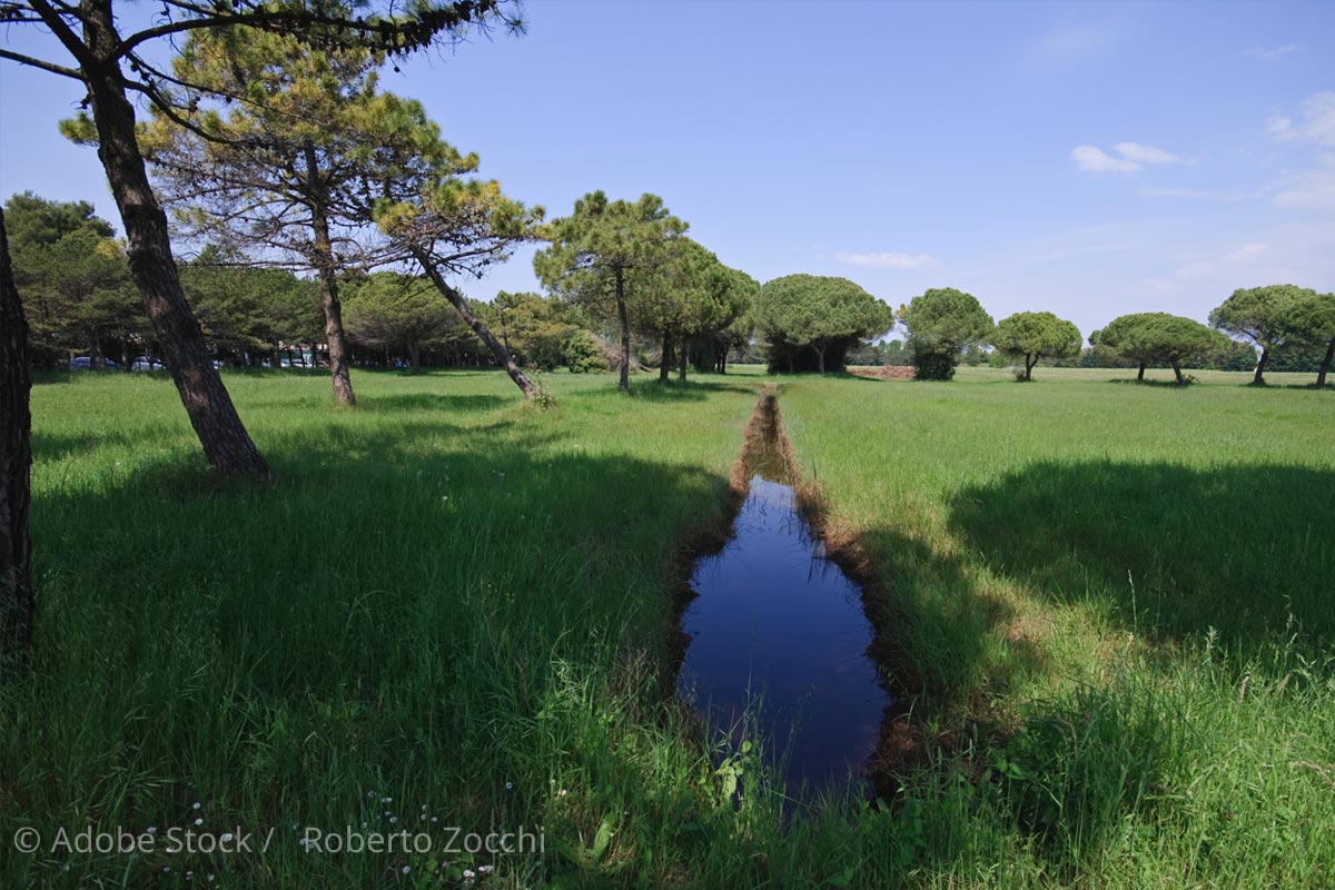 Landschaft-bei-Bibione