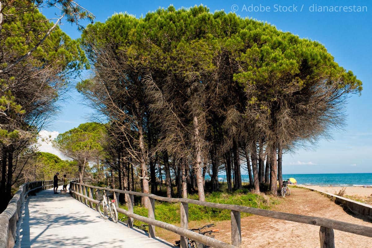 Fahrradweg-Bibione Radweg-Bibione