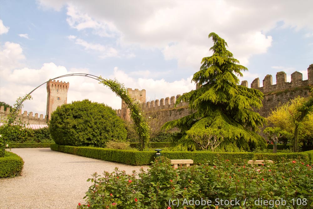 Castello-Carrarese-Este Castello-Carrarese-Este
