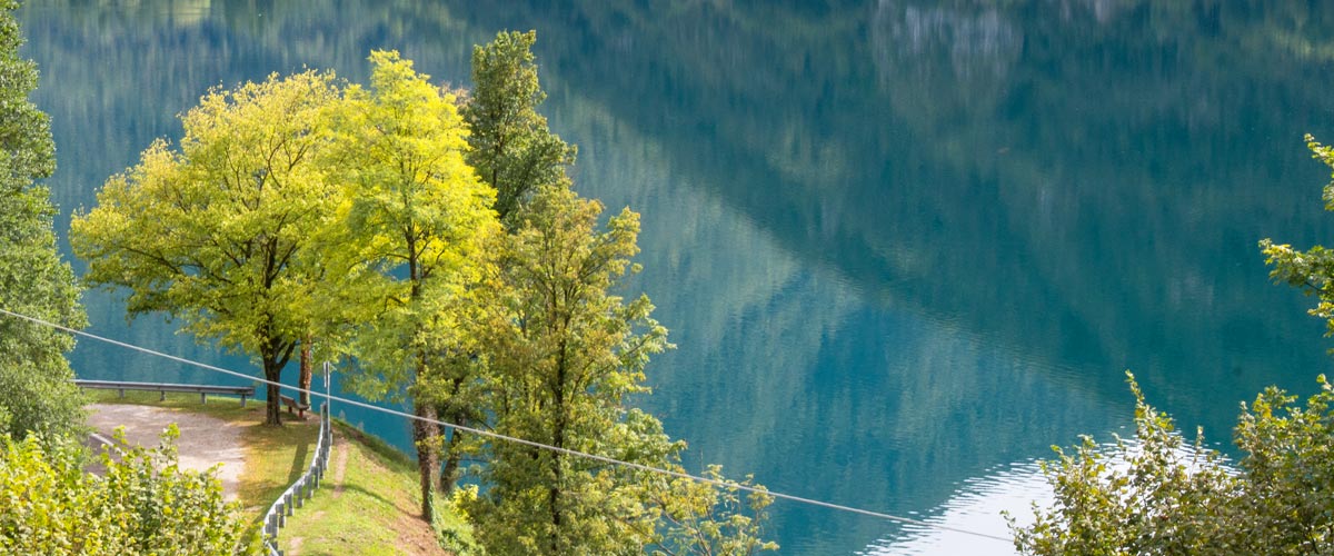 baum-vor-ledrosee baum-vor-ledrosee