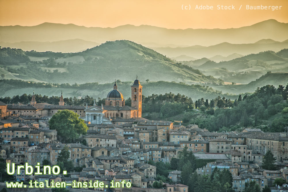 Urbino Urbino