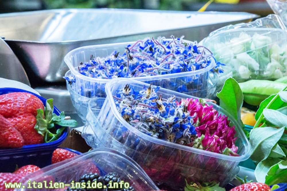 Marktstand-Früchte-Blueten Marktstadt-Fruechte-Blueten