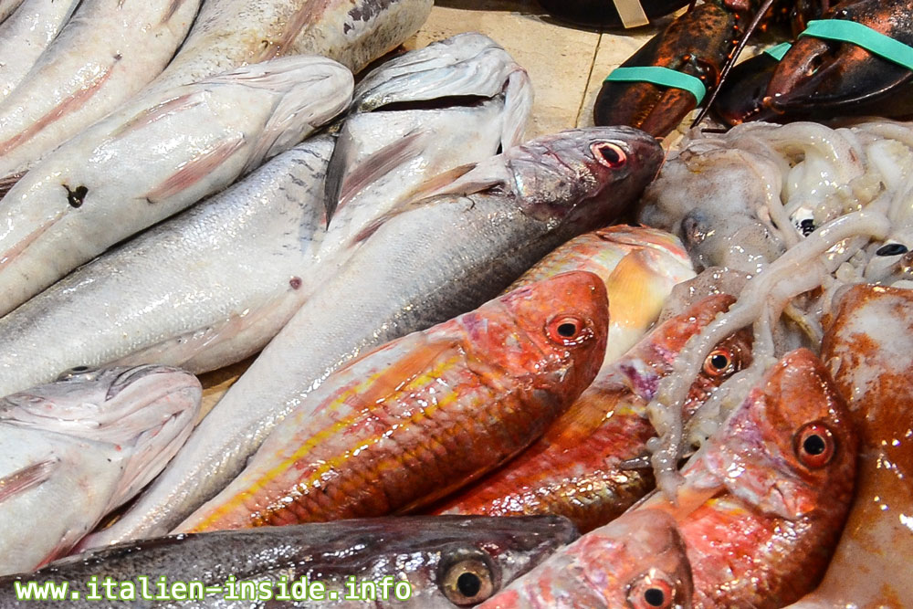 Fischmarkt Fische-auf-Markstand