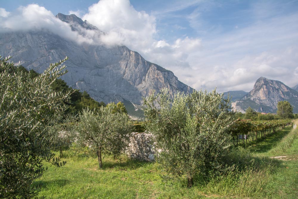 Sarcatal-Landschaft