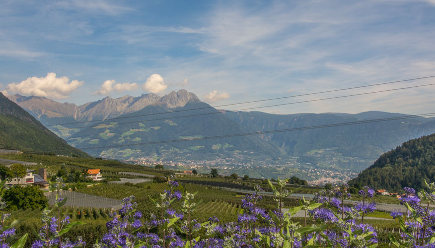 Meran Meran-Blick-ueber-Fluss