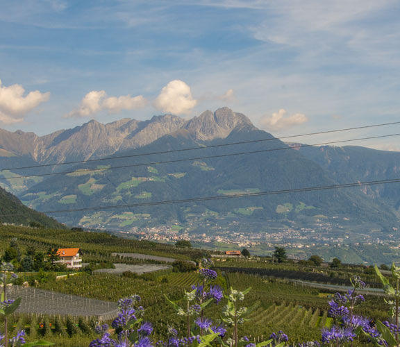 Meran Meran-Blick-ueber-Fluss