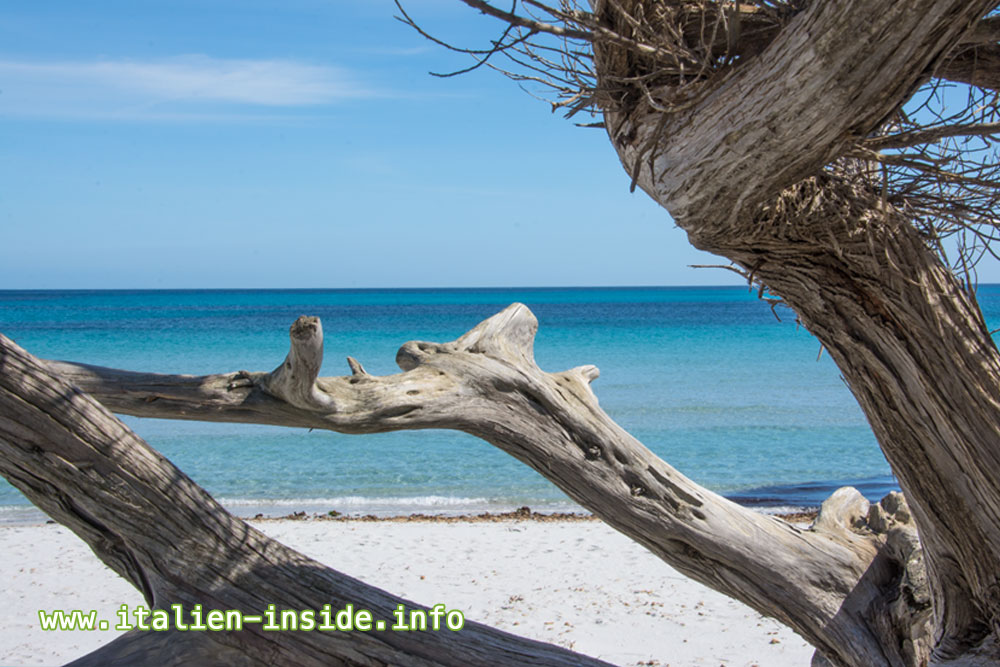 Strand-Italien Strand-und-Meer-Italien