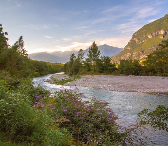 Trentino