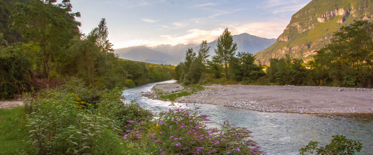 Trentino