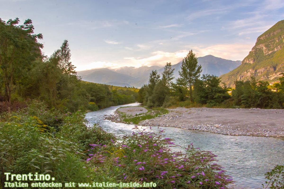 Trentino-Suedtirol-Flusslandschaft-Brenta