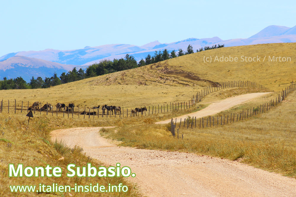 Umbrien-Monte-Subasio Umbrien-Monte-Subasio