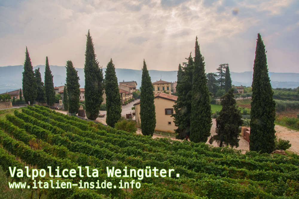 Weingut-Villa-Spinosa Valpolicella-Weingut-Villa-Spinosa