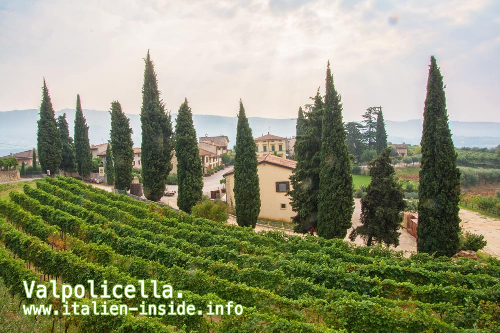 Valpolicella valpolicella-weingut
