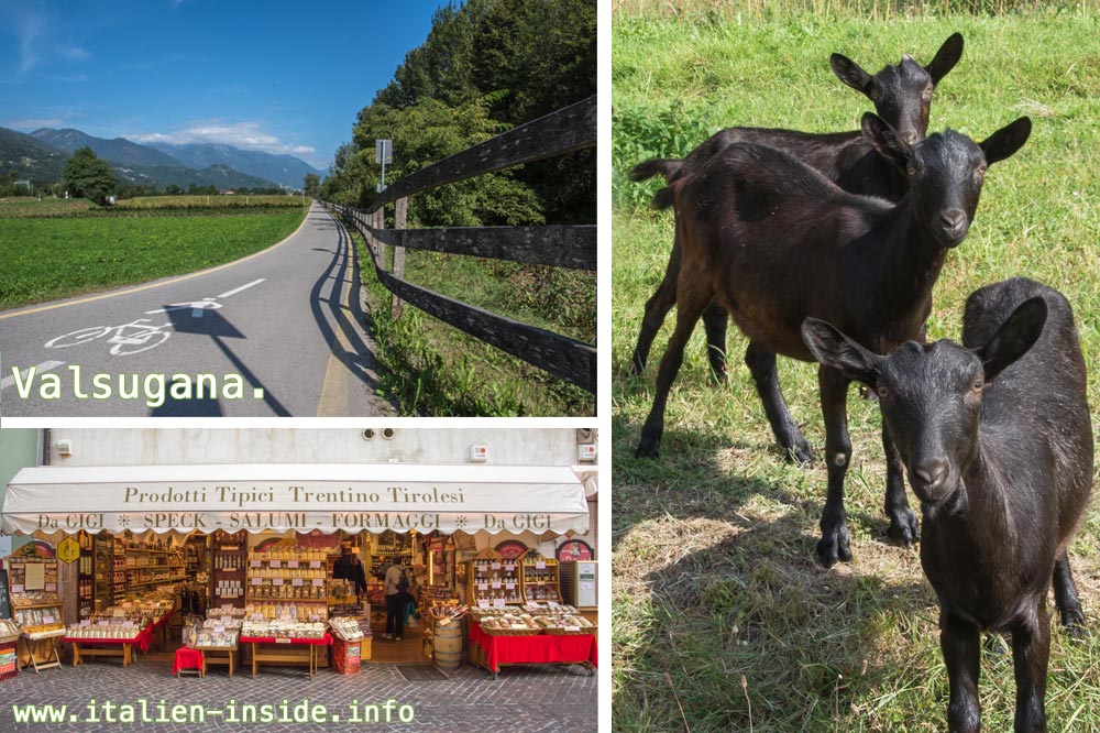 Valsugana Mehrere-Motive-Valsugana