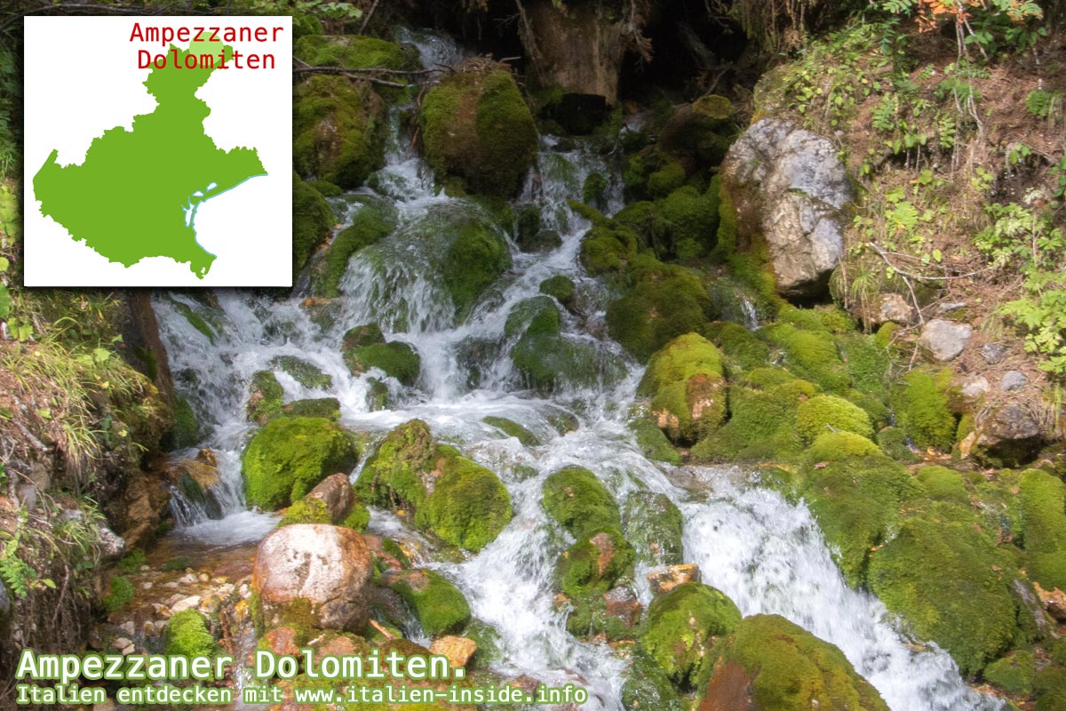 Ampezzaner-Dolomiten Ampezzaner-Dolomiten-Wald-mit-Moos
